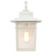 SATCO/NUVO Cove Neck 1-Light 14 Inch Outdoor Lantern With Clear Seed Glass (60-4957)