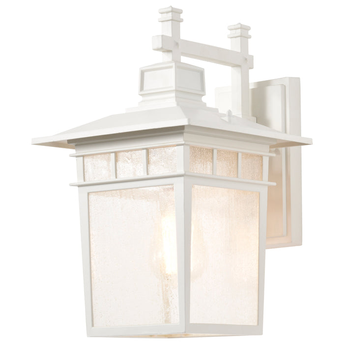 SATCO/NUVO Cove Neck 1-Light 14 Inch Outdoor Lantern With Clear Seed Glass (60-4957)