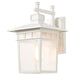 SATCO/NUVO Cove Neck 1-Light 14 Inch Outdoor Lantern With Clear Seed Glass (60-4957)