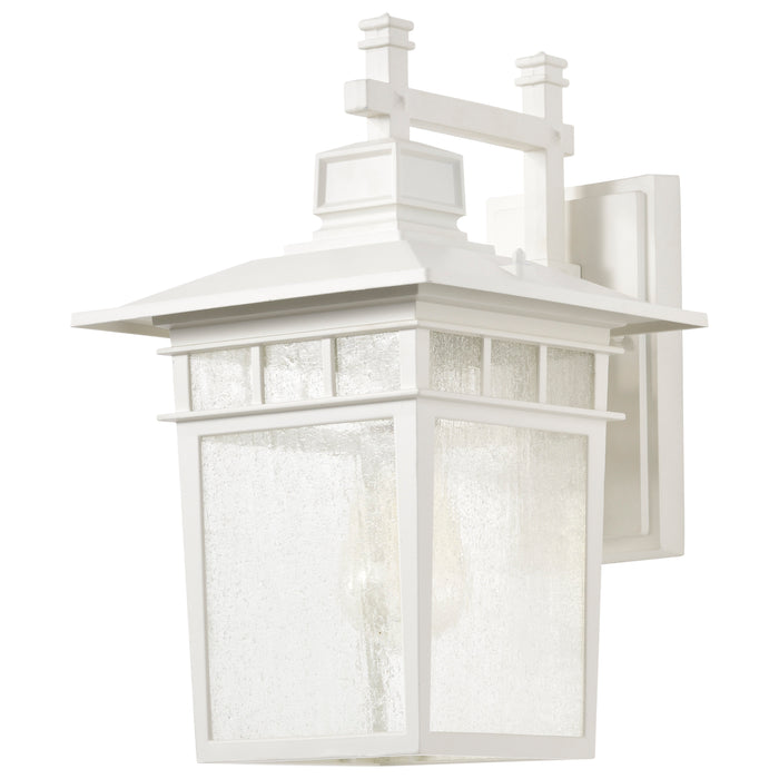 SATCO/NUVO Cove Neck 1-Light 14 Inch Outdoor Lantern With Clear Seed Glass (60-4957)