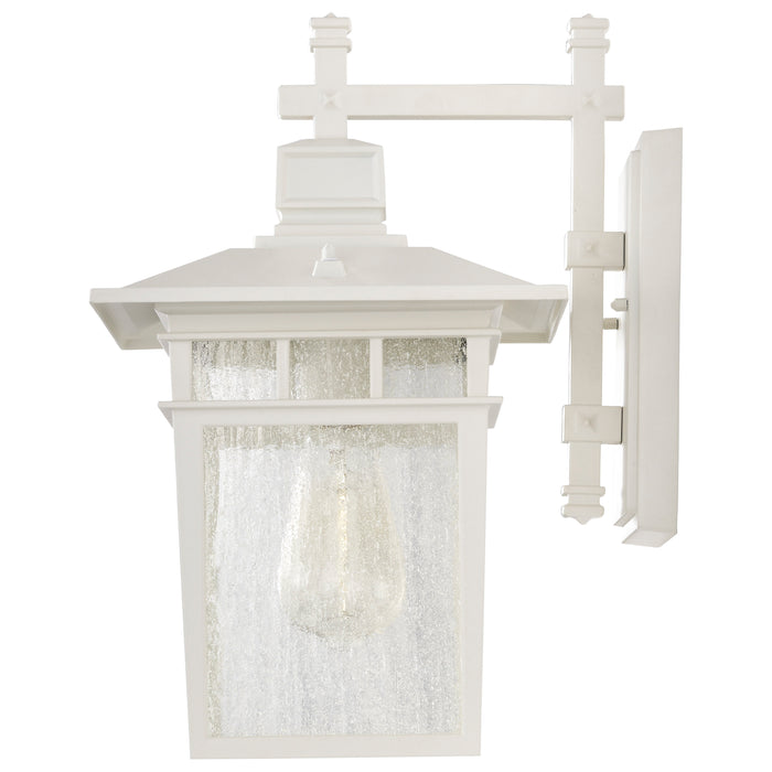 SATCO/NUVO Cove Neck 1-Light 14 Inch Outdoor Lantern With Clear Seed Glass (60-4957)