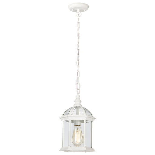 SATCO/NUVO Boxwood 1-Light 14 Inch Outdoor Hanging With Clear Beveled Glass (60-4977)