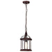 SATCO/NUVO Boxwood 1-Light 14 Inch Outdoor Hanging With Clear Beveled Glass (60-4978)
