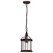 SATCO/NUVO Boxwood 1-Light 14 Inch Outdoor Hanging With Clear Beveled Glass (60-4978)