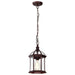 SATCO/NUVO Boxwood 1-Light 14 Inch Outdoor Hanging With Clear Beveled Glass (60-4978)