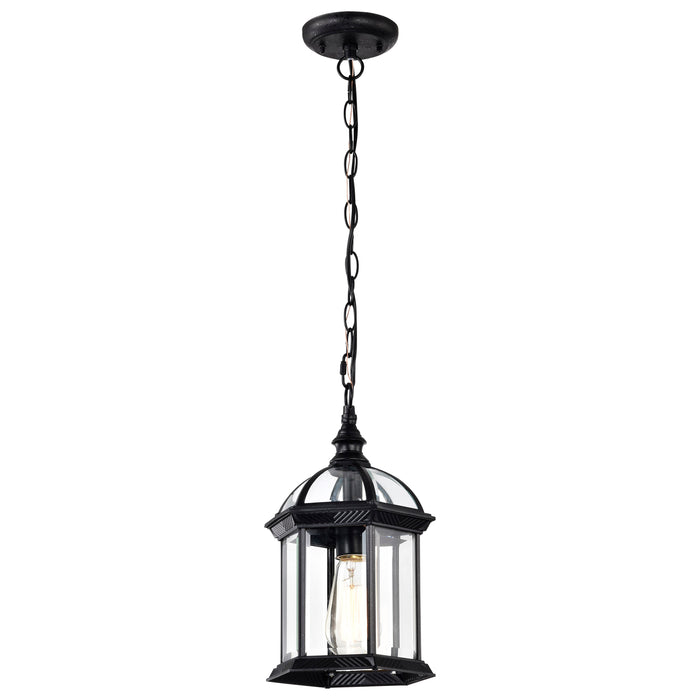 SATCO/NUVO Boxwood 1-Light 14 Inch Outdoor Hanging With Clear Beveled Glass (60-4979)