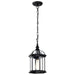 SATCO/NUVO Boxwood 1-Light 14 Inch Outdoor Hanging With Clear Beveled Glass (60-4979)