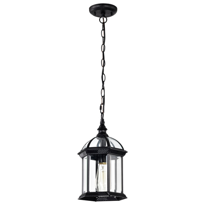 SATCO/NUVO Boxwood 1-Light 14 Inch Outdoor Hanging With Clear Beveled Glass (60-4979)