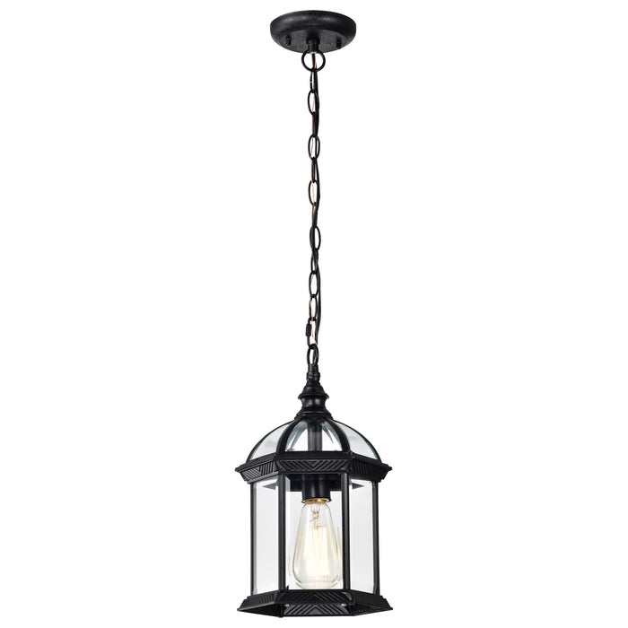 SATCO/NUVO Boxwood 1-Light 14 Inch Outdoor Hanging With Clear Beveled Glass (60-4979)
