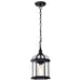 SATCO/NUVO Boxwood 1-Light 14 Inch Outdoor Hanging With Clear Beveled Glass (60-4979)