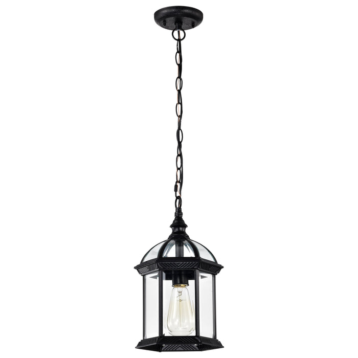 SATCO/NUVO Boxwood 1-Light 14 Inch Outdoor Hanging With Clear Beveled Glass (60-4979)
