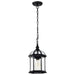 SATCO/NUVO Boxwood 1-Light 14 Inch Outdoor Hanging With Clear Beveled Glass (60-4979)