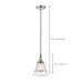 SATCO/NUVO Vintage 1-Light Pendant With Clear Glass Vintage Lamp Included (60-5402)