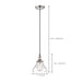 SATCO/NUVO Vintage 1-Light Pendant With Clear Glass Vintage Lamp Included (60-5403)