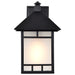 SATCO/NUVO Drexel 1-Light 9 Inch Outdoor Wall Fixture With Frosted Seed Glass (60-5602)