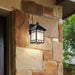 SATCO/NUVO Drexel 1-Light 9 Inch Outdoor Wall Fixture With Frosted Seed Glass (60-5602)