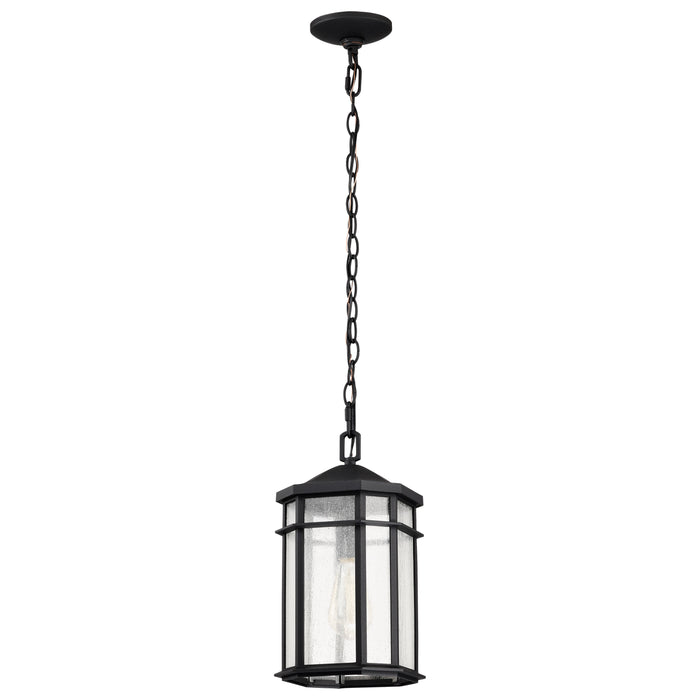 SATCO/NUVO Raiden Outdoor Hanging Lantern 1 Light Matte Black Clear Seeded Glass (60-5759)