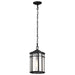 SATCO/NUVO Raiden Outdoor Hanging Lantern 1 Light Matte Black Clear Seeded Glass (60-5759)
