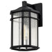 SATCO/NUVO Raiden Outdoor Small Wall Lantern 1 Light Matte Black Clear Seeded Glass (60-5760)