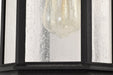 SATCO/NUVO Raiden Outdoor Small Wall Lantern 1 Light Matte Black Clear Seeded Glass (60-5760)