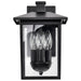 SATCO/NUVO Jamesport Outdoor Small Wall Lantern 3 Lights Matte Black Finish Clear Glass (60-5934)