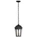 SATCO/NUVO East River Outdoor Hanging Lantern 1 Light Matte Black Finish Clear Water Glass (60-5944)
