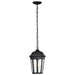 SATCO/NUVO East River Outdoor Hanging Lantern 1 Light Matte Black Finish Clear Water Glass (60-5944)