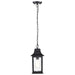 SATCO/NUVO Stillwell Outdoor Hanging Lantern 1 Light Matte Black Finish Water Glass (60-5958)