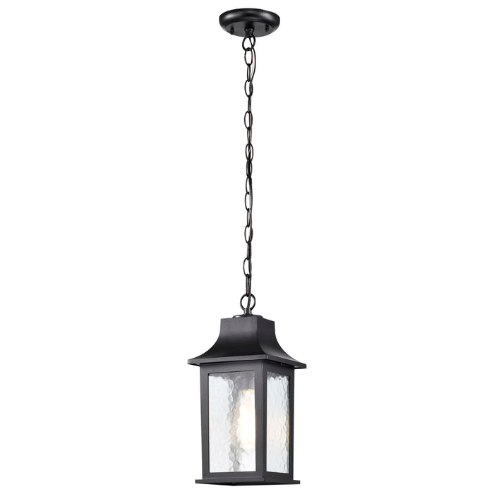 SATCO/NUVO Stillwell Outdoor Hanging Lantern 1 Light Matte Black Finish Water Glass (60-5958)