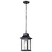 SATCO/NUVO Stillwell Outdoor Hanging Lantern 1 Light Matte Black Finish Water Glass (60-5958)