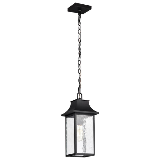 SATCO/NUVO Austen Outdoor Hanging Lantern 1 Light Matte Black Finish Clear Water Glass (60-5996)