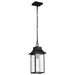 SATCO/NUVO Austen Outdoor Hanging Lantern 1 Light Matte Black Finish Clear Water Glass (60-5996)