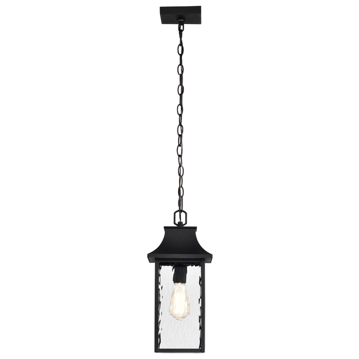 SATCO/NUVO Austen Outdoor Hanging Lantern 1 Light Matte Black Finish Clear Water Glass (60-5996)