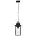 SATCO/NUVO Austen Outdoor Hanging Lantern 1 Light Matte Black Finish Clear Water Glass (60-5996)