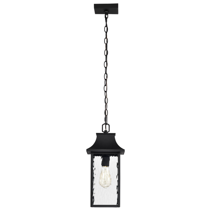 SATCO/NUVO Austen Outdoor Hanging Lantern 1 Light Matte Black Finish Clear Water Glass (60-5996)