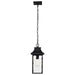 SATCO/NUVO Austen Outdoor Hanging Lantern 1 Light Matte Black Finish Clear Water Glass (60-5996)
