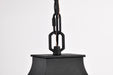 SATCO/NUVO Austen Outdoor Hanging Lantern 1 Light Matte Black Finish Clear Water Glass (60-5996)