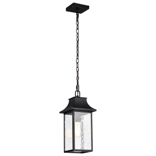 SATCO/NUVO Austen Outdoor Hanging Lantern 1 Light Matte Black Finish Clear Water Glass (60-5996)