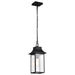 SATCO/NUVO Austen Outdoor Hanging Lantern 1 Light Matte Black Finish Clear Water Glass (60-5996)