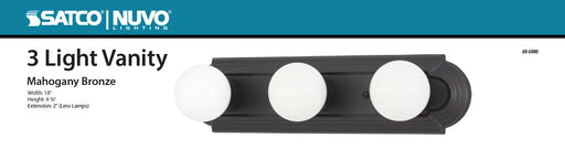 SATCO/NUVO 3-Light 18 Inch Vanity Racetrack Style Color (60-6080)