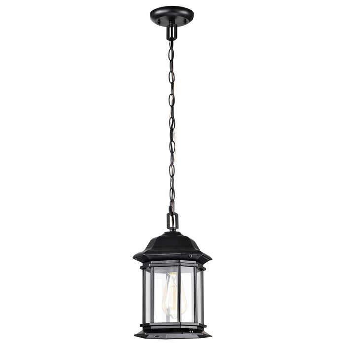 SATCO/NUVO Hopkins Outdoor Hanging Lantern 1 Light Matte Black Finish Clear Glass (60-6117)