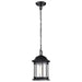 SATCO/NUVO Hopkins Outdoor Hanging Lantern 1 Light Matte Black Finish Clear Glass (60-6117)