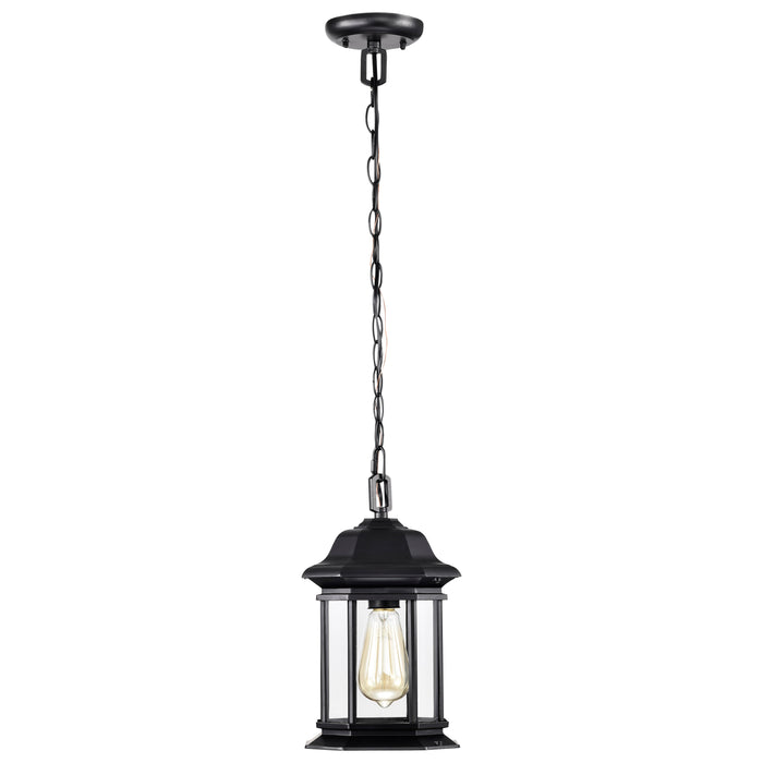 SATCO/NUVO Hopkins Outdoor Hanging Lantern 1 Light Matte Black Finish Clear Glass (60-6117)