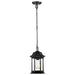 SATCO/NUVO Hopkins Outdoor Hanging Lantern 1 Light Matte Black Finish Clear Glass (60-6117)