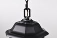 SATCO/NUVO Hopkins Outdoor Hanging Lantern 1 Light Matte Black Finish Clear Glass (60-6117)