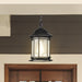 SATCO/NUVO Hopkins Outdoor Hanging Lantern 1 Light Matte Black Finish Clear Glass (60-6117)