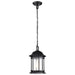 SATCO/NUVO Hopkins Outdoor Hanging Lantern 1 Light Matte Black Finish Clear Glass (60-6117)