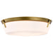 SATCO/NUVO Rowen 4 Light Flush Mount Natural Brass Finish Etched White Glass (60-7751)
