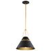 SATCO/NUVO Adina 1 Light Medium Pendant Matte Black And Natural Brass Finish (60-7766)