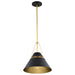 SATCO/NUVO Adina 1 Light Medium Pendant Matte Black And Natural Brass Finish (60-7766)